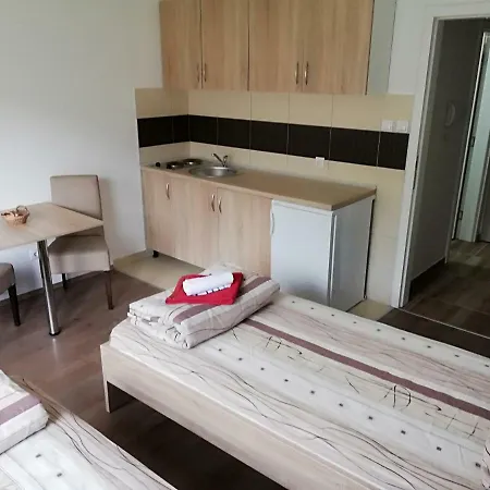 アパート Tijana Banja Koviljača