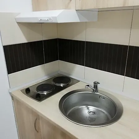 アパート Tijana Banja Koviljača